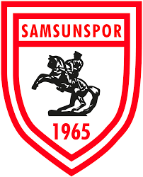 SAMSUNSPOR DSI Team Logo